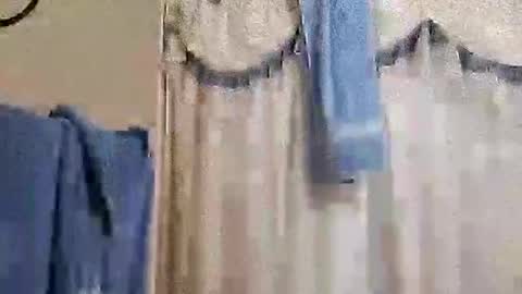 Snapshot of whodunnitwrangler chatting on November 2025 02:12:02 AM whodunnitwrangler online show from November 2025 02:12:02 AM