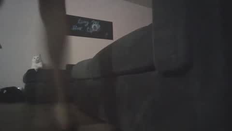 whosten0 online show from December 2025 04:17:02 AM