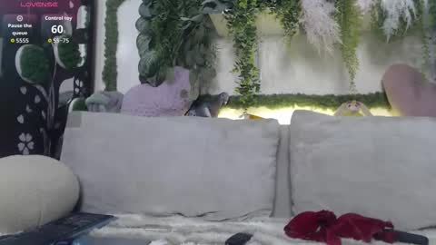 wiagra online show from November 2025 08:48:02 AM