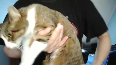 Tommy online show from December 2024 10:21:01 AM