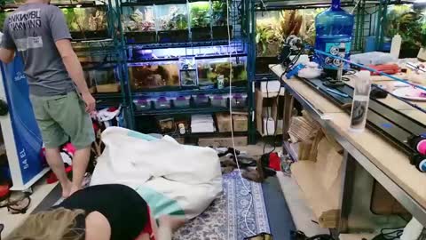 Snapshot of wifen_heels chatting on June 2026 09:18:01 PM WifeNheels online show from June 2026 09:18:01 PM