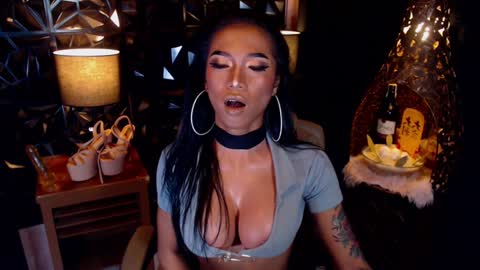 wildara online show from January 2025 10:33:02 AM