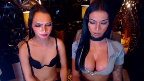 wildara online show from February 2025 11:42:01 AM