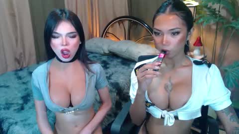 wildara online show from October 2025 07:53:02 PM