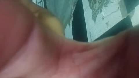 wildasshole123 online show from November 2025 12:19:02 PM