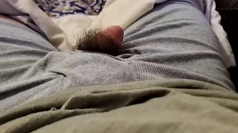 Wild-at-heart online show from December 2024 02:49:02 AM