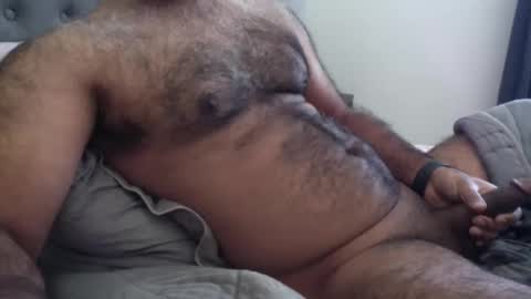 wildhungry online show from December 2025 06:57:02 PM