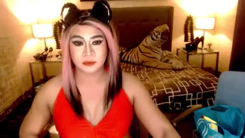 wildtransjhade online show from January 2025 09:30:02 AM