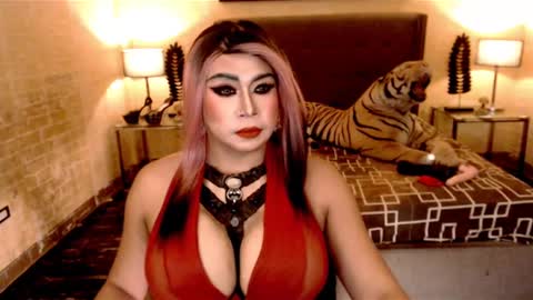 wildtransjhade online show from January 2025 06:43:01 PM