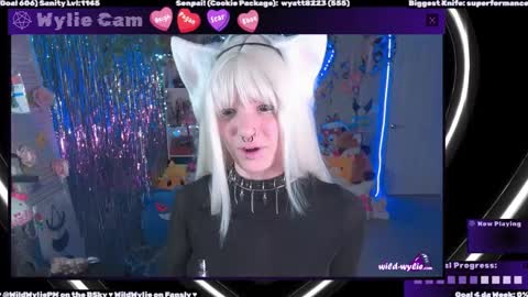 Snapshot of wildwylie chatting on February 2025 02:57:02 AM Wylie Wanderlust online show from February 2025 02:57:02 AM