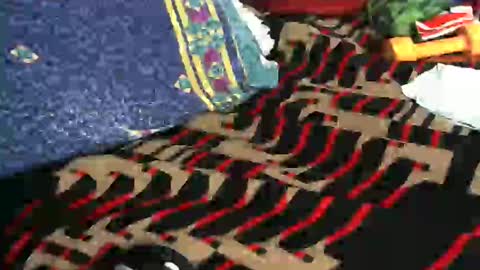 Willamyth online show from February 2025 08:49:01 AM