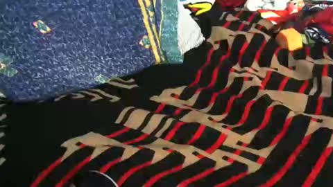 Willamyth online show from February 2025 08:12:02 AM