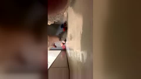 Snapshot of williamcody653 chatting on February 2026 06:21:02 AM williamcody653 online show from February 2026 06:21:02 AM