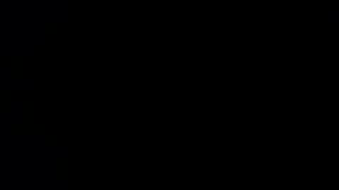 williewants online show from November 2025 10:50:02 AM