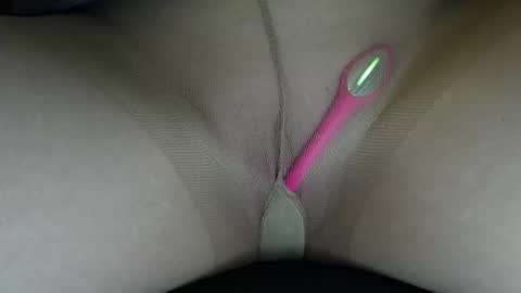 Willow online show from February 2026 06:03:02 PM