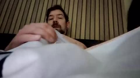 willybewildstone online show from January 2025 12:23:01 PM