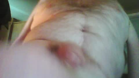 Willy Stroker online show from April 2026 12:41:01 PM