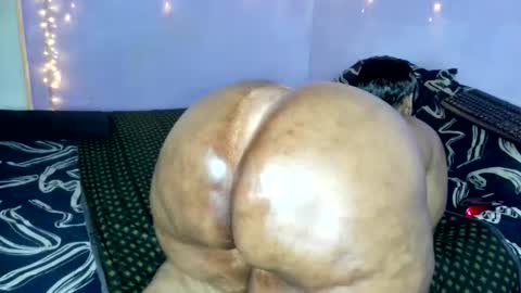 wilmaassylum online show from November 2025 05:51:01 AM