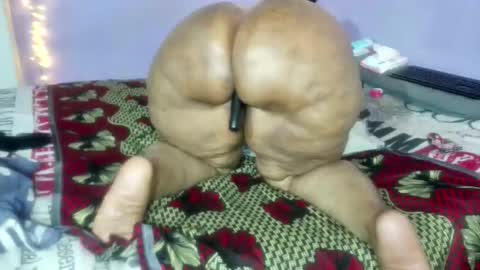 wilmaassylum online show from January 2026 05:27:02 PM