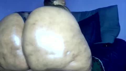 wilmaassylum online show from March 2026 06:28:01 AM