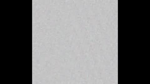 wilmot69noah online show from February 2025 01:43:01 PM