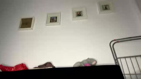 witalos online show from January 2026 06:00:01 PM