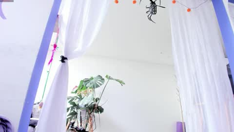     Luna Violeta  A r t i s t  online show from October 2025 04:42:01 PM