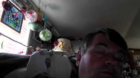 wldlife online show from July 2026 07:19:02 PM