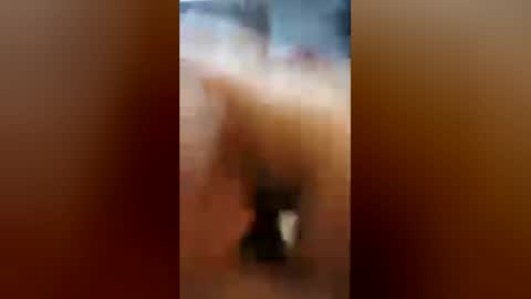 wlshwnkr online show from July 2026 11:31:02 AM