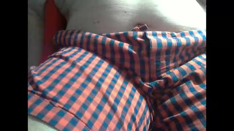 wolfoerl online show from September 2025 01:49:01 PM