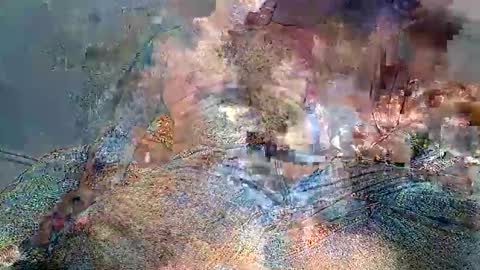 wolf boy online show from February 2026 03:49:02 AM