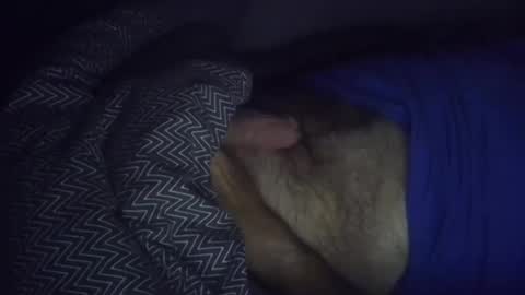 wolleysheep online show from November 2025 06:16:02 AM