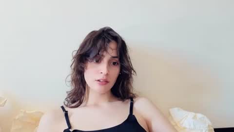 Stia online show from June 2026 11:19:05 AM