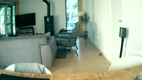 Snapshot of woodwurm chatting on June 2026 05:34:02 AM woodwurm and Snoeske online show from June 2026 05:34:02 AM