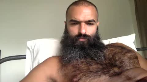 woof_wolf37 online show from September 2025 12:12:02 AM