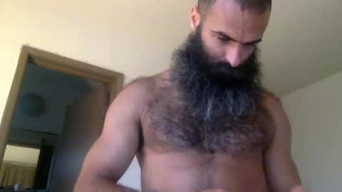 woof_wolf37 online show from February 2026 03:16:02 PM