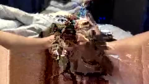 workplace_proximity_associate online show from September 2025 12:10:01 PM