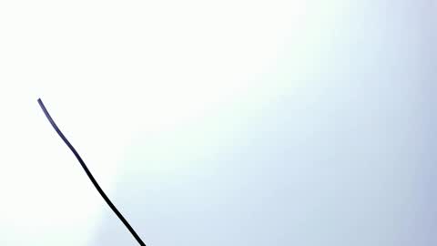 wyatt online show from December 2025 03:13:02 AM