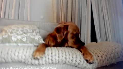 Lily online show from February 2025 12:27:02 AM