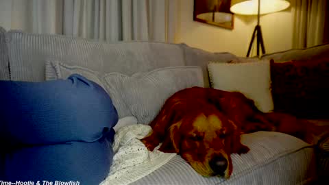 Lily online show from September 2025 11:27:01 PM