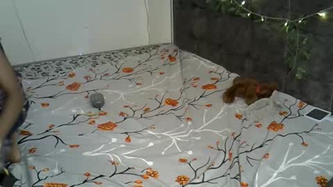 Alexa online show from November 2025 02:23:01 PM