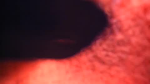 XALLYSONX online show from February 2025 02:21:01 PM