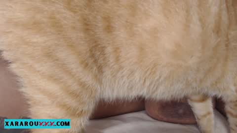       S A R A      100K followers online show from January 2025 11:27:02 PM