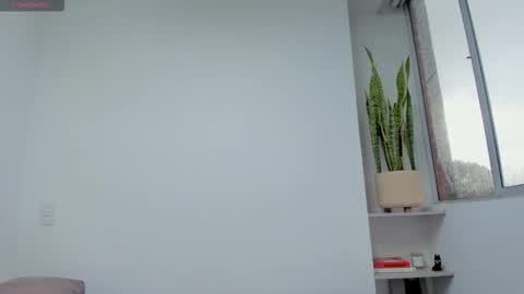 Xavier online show from November 2025 07:40:02 PM