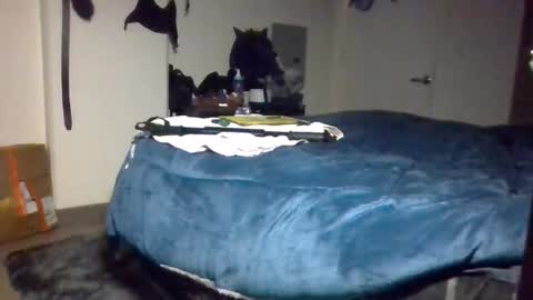 Toke online show from December 2024 02:06:02 PM