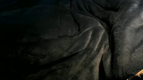 Toke online show from January 2025 12:35:02 PM