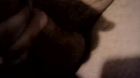 xdreamer online show from March 2026 10:24:02 PM