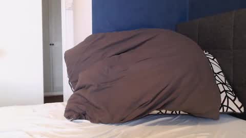 xhotfanx online show from January 2025 11:05:01 AM