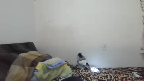 Ximena online show from February 2025 01:35:01 AM