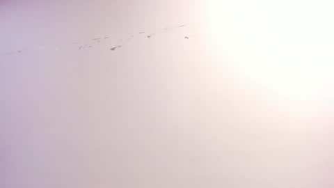 Xime  online show from October 2025 03:07:02 AM